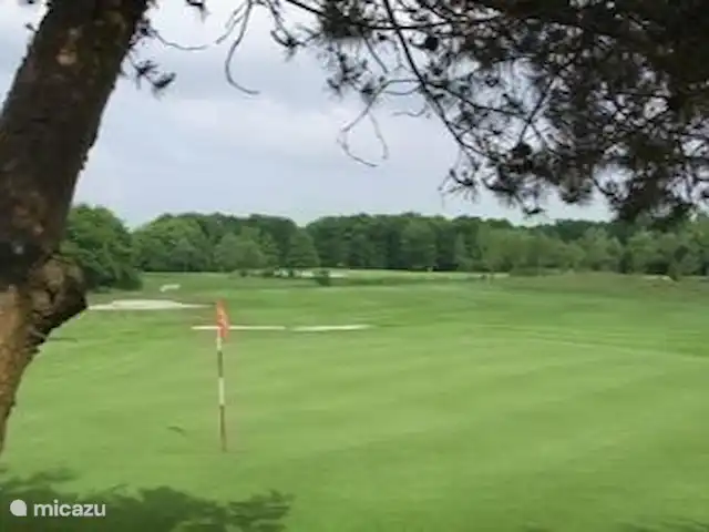 Lyts Sypenstien | Pays-Bas, Frise, Langweer - maison de vacances A 1,5 km, vous trouverez l'un des plus beaux terrains de golf des Pays-Bas. Magnifiquement situé sur la transition de la forêt au pâturage.