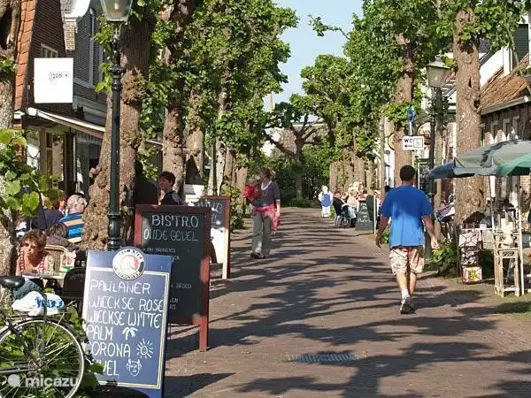 Die Kennlinie mit alten Linden gesäumten Dorpstraat (Buorren) von Langweer, mit verschiedenen Geschäften, Cafés und Restaurants.