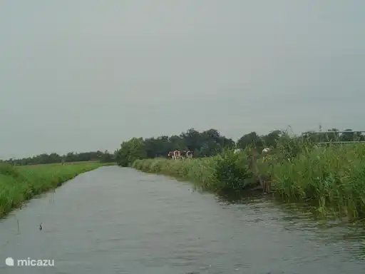 Durch das Holz ausgeführt ist fein Bootfahren oder Kanufahren auf dem See Der Langweerderwielen