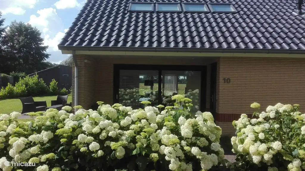 Vordere Terrasse mit schönen Hortensien