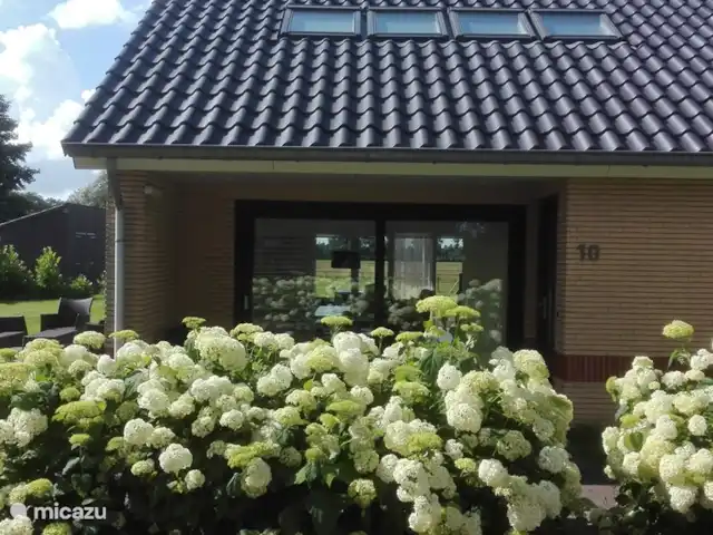 Lyts Sypenstien | Pays-Bas, Frise, Langweer - maison de vacances Terrasse avant avec de beaux hortensias