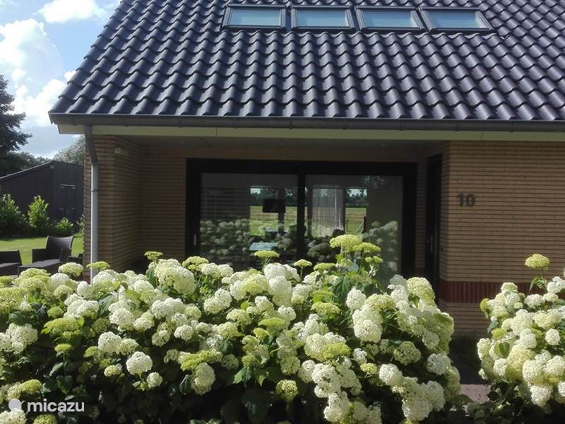 Vakantiehuis Nederland, Friesland, Langweer Vakantiehuis Lyts Sypenstien