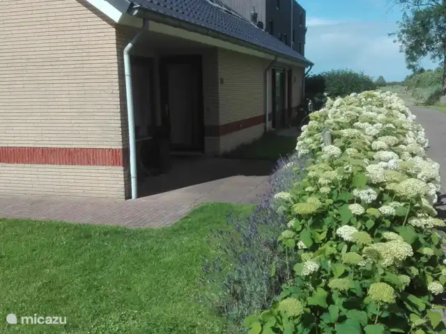 Lyts Sypenstien | Pays-Bas, Frise, Langweer - maison de vacances Plus loin il y a plus de places de parking
