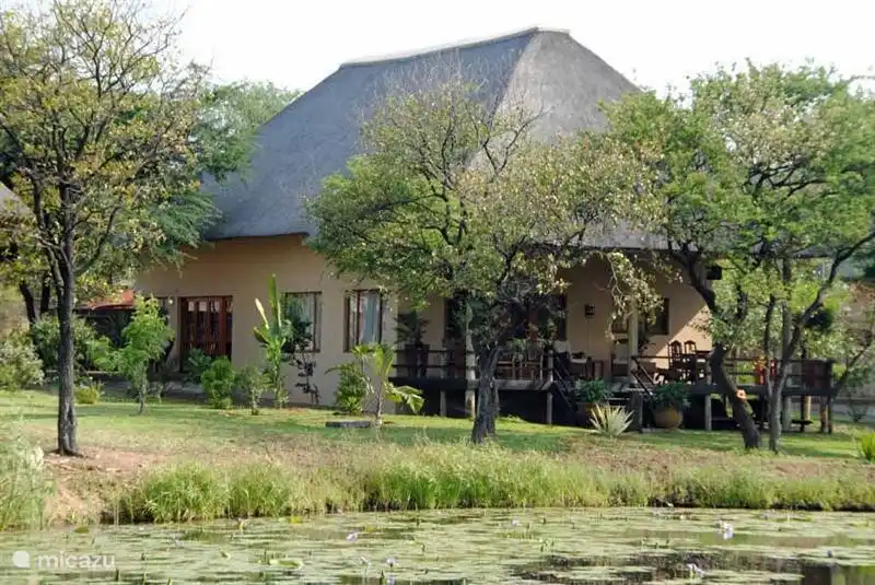Ferienhaus 'WILD OLIVE'  Krugerpark in Südafrika, Limpopo, Phalaborwa - Ferienhaus