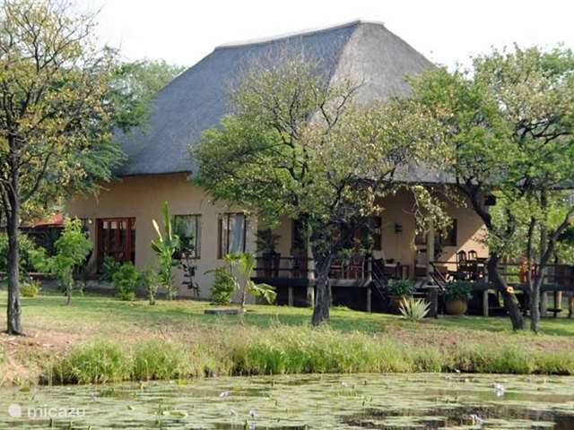 Holiday home in South Africa, Limpopo, Phalaborwa - holiday house 'Wild Olive' Krugerpark