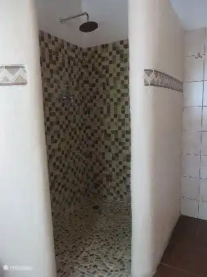 einer der begehbare Duschen mit regen Dusche