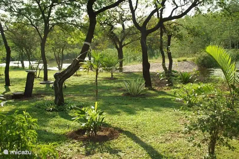 Blick von der Veranda auf den Teichen
