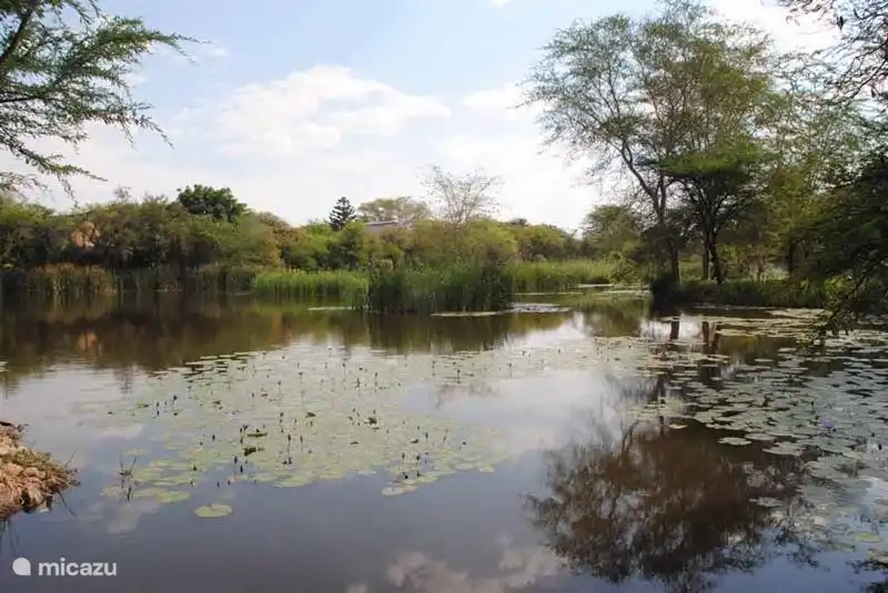 Seitenansicht des Hauses