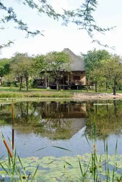 Eine der Sorten sind von der Ferienzeit