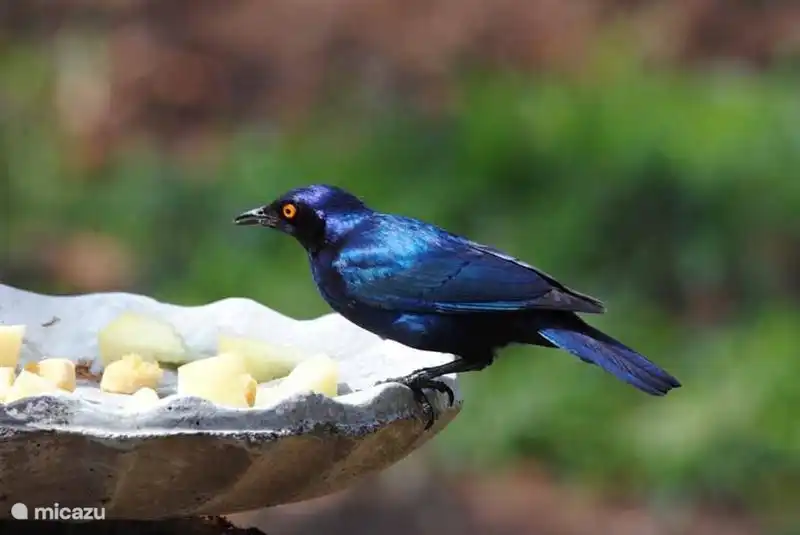 Blick über die Teiche