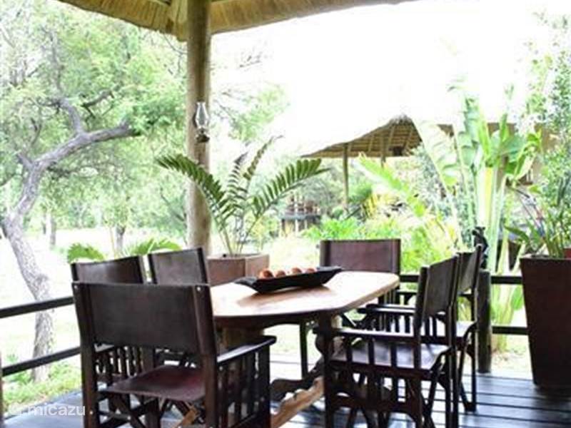 Ferienwohnung Südafrika, Limpopo, Phalaborwa Ferienhaus Ferienhaus 'WILD OLIVE'  Krugerpark