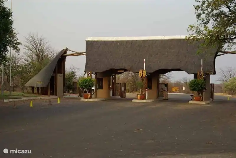 Weber Vogel in einem Baum im Garten des Hauses