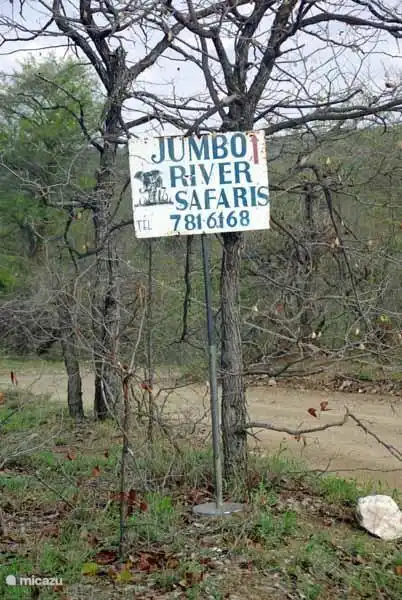 Baobab im Krüger Park