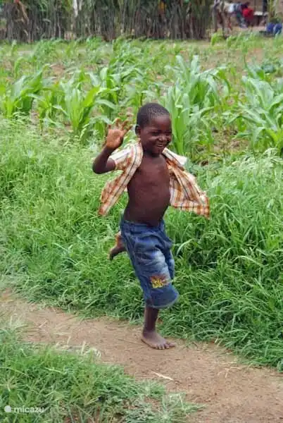 Schwingend Junge Township