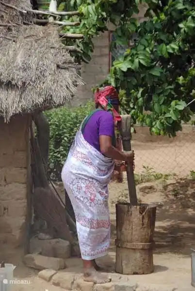 Frau Erdnüsse stampft Township