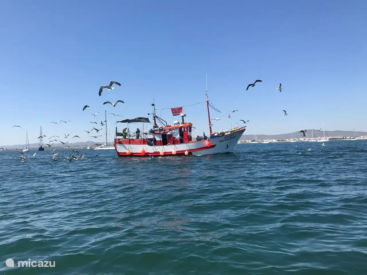 Barco de pesca frente a Ilha da Culatra