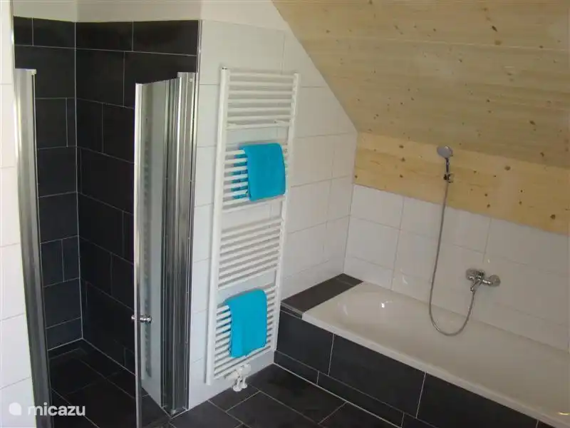 Bathroom with bath, shower, second toilet