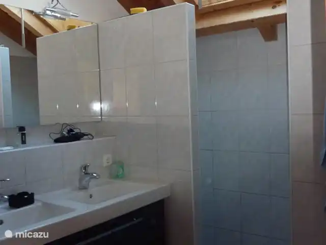 Villa Gentiaan | Autriche, Carinthie, Kötschach-Mauthen - maison de vacances Fabricant de bain avec douche