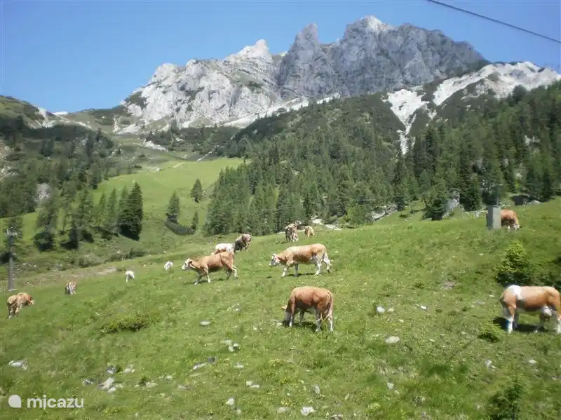 Gartnerkofel in Nassfeld