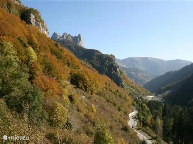 Villa Gentiaan | Autriche, Carinthie, Kötschach-Mauthen - maison de vacances Plockenpass en automne (environs)
