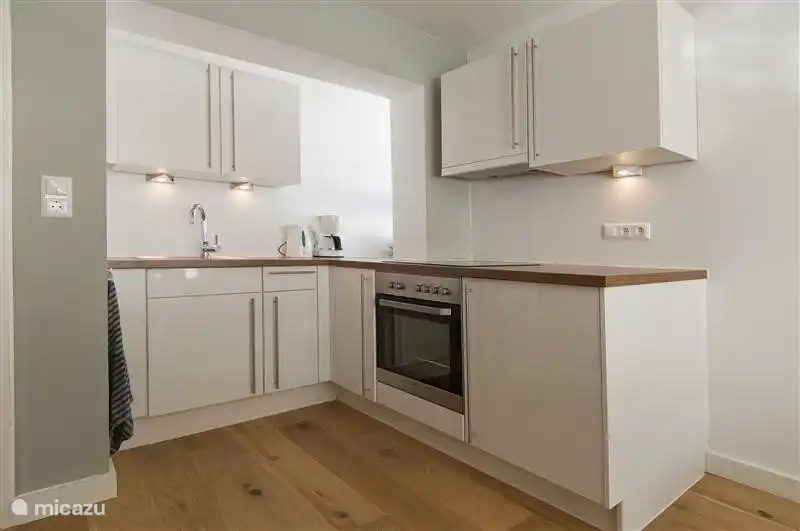 Modern kitchen with 4 hotplates, oven and extractor.