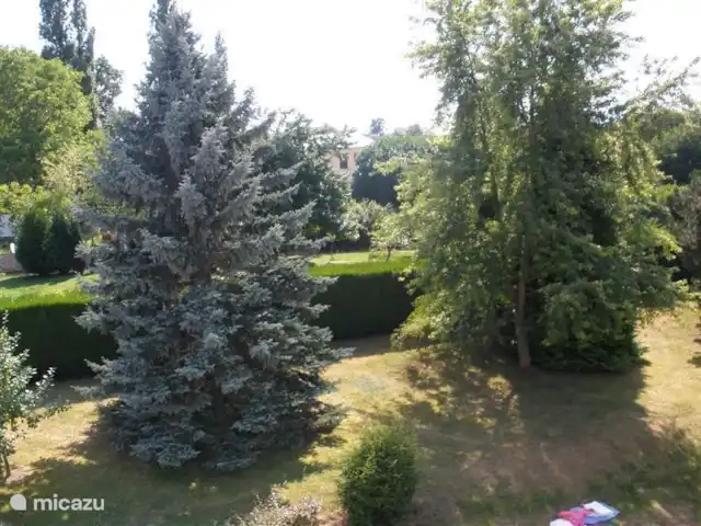 Château Marie-Louise | France, Allier, Néris-les-Bains - manoir / château Une partie du jardin vue du balcon