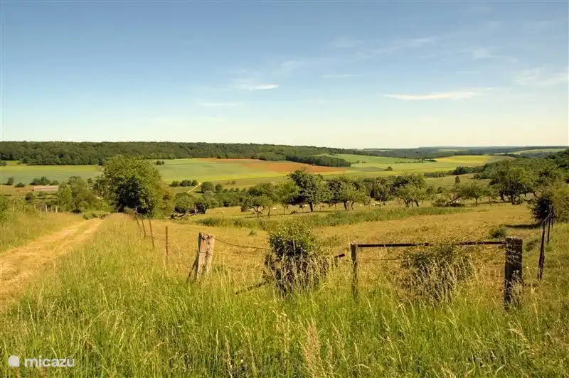 La vallée de Bièvres, vue du haut de Saint-Walfroy