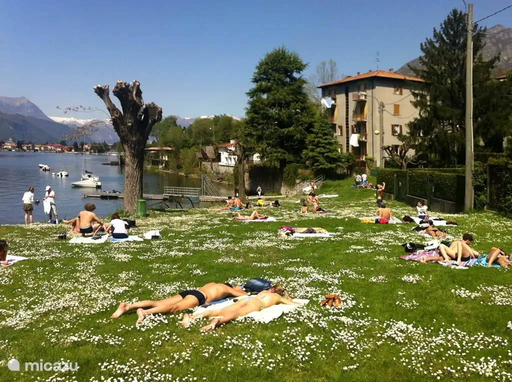 Frühlingssonne in Abbadia Lariana (Dorf zwischen Mandello und Lecco), 5 Minuten mit dem Fahrrad