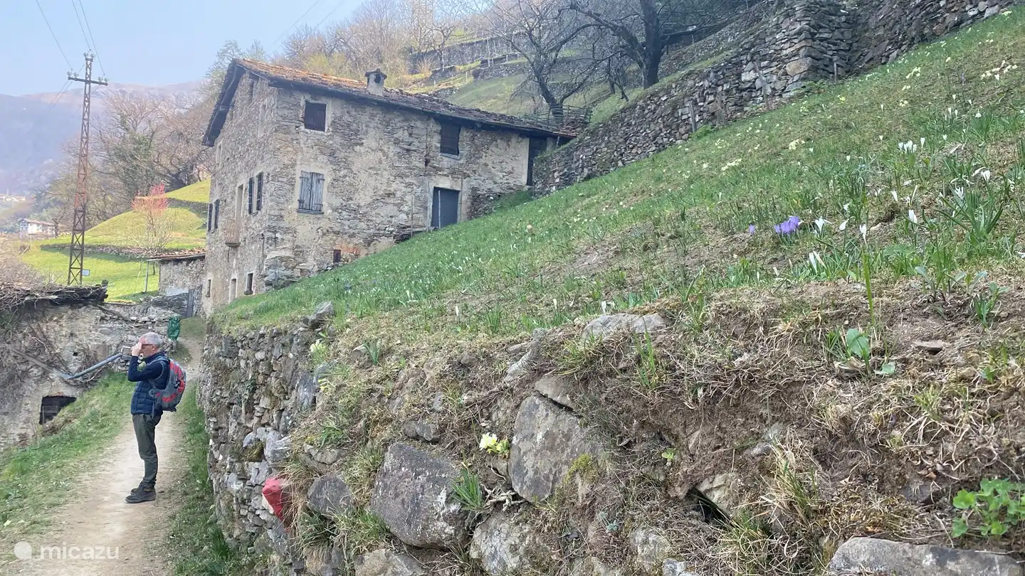 Wanderung Varenna-Bellano