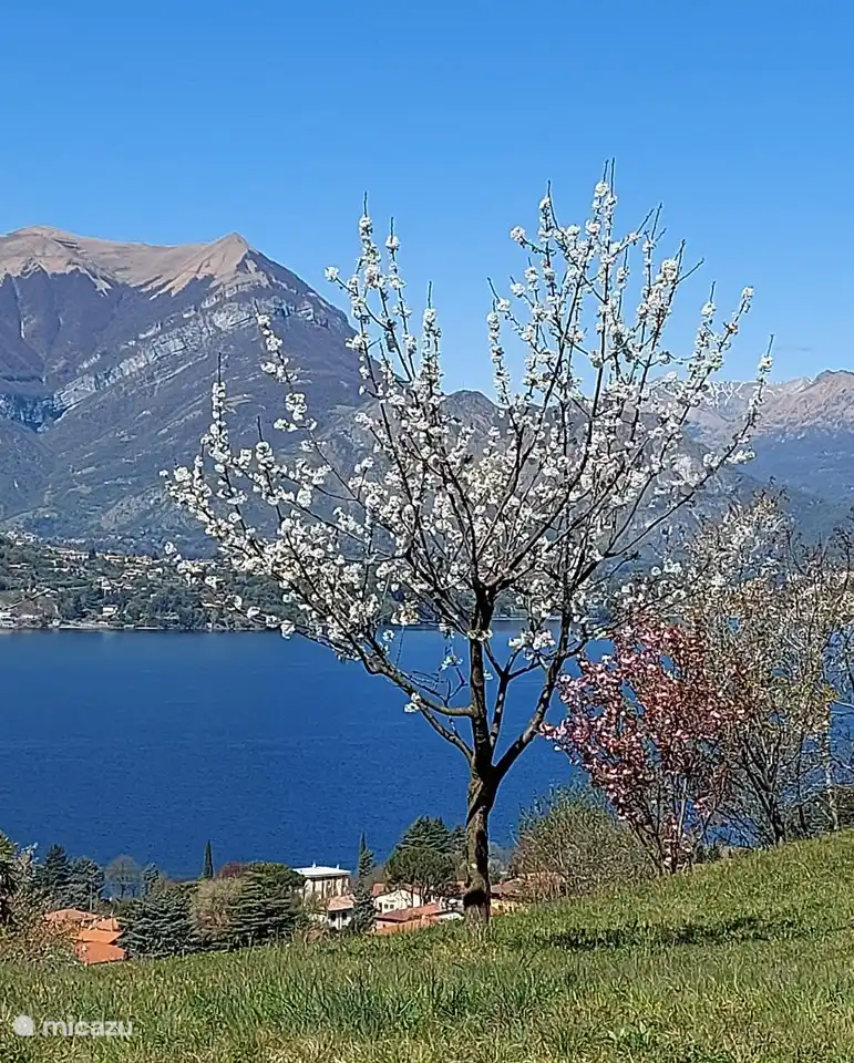 Wanderung von Mandello nach Lierna