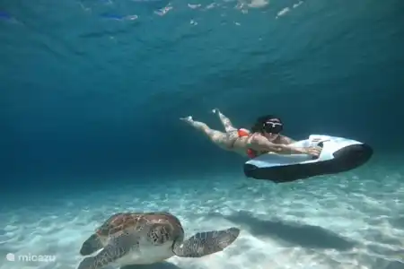 Tour en Seabob