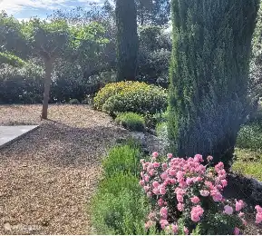 Backyard with swimming pool.