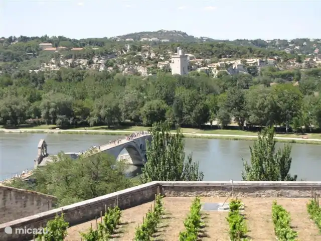 De Hertogen.Park,zwembad,golf,tennis huren in Frankrijk, Vaucluse, Saumane-de-Vaucluse - villa De beroemde Pont d 'Avignon. Je kunt op het plein een treintje nemen die u rondrijdt door de gehele stad, leuk!