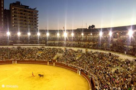 Bullfighting in Malaga