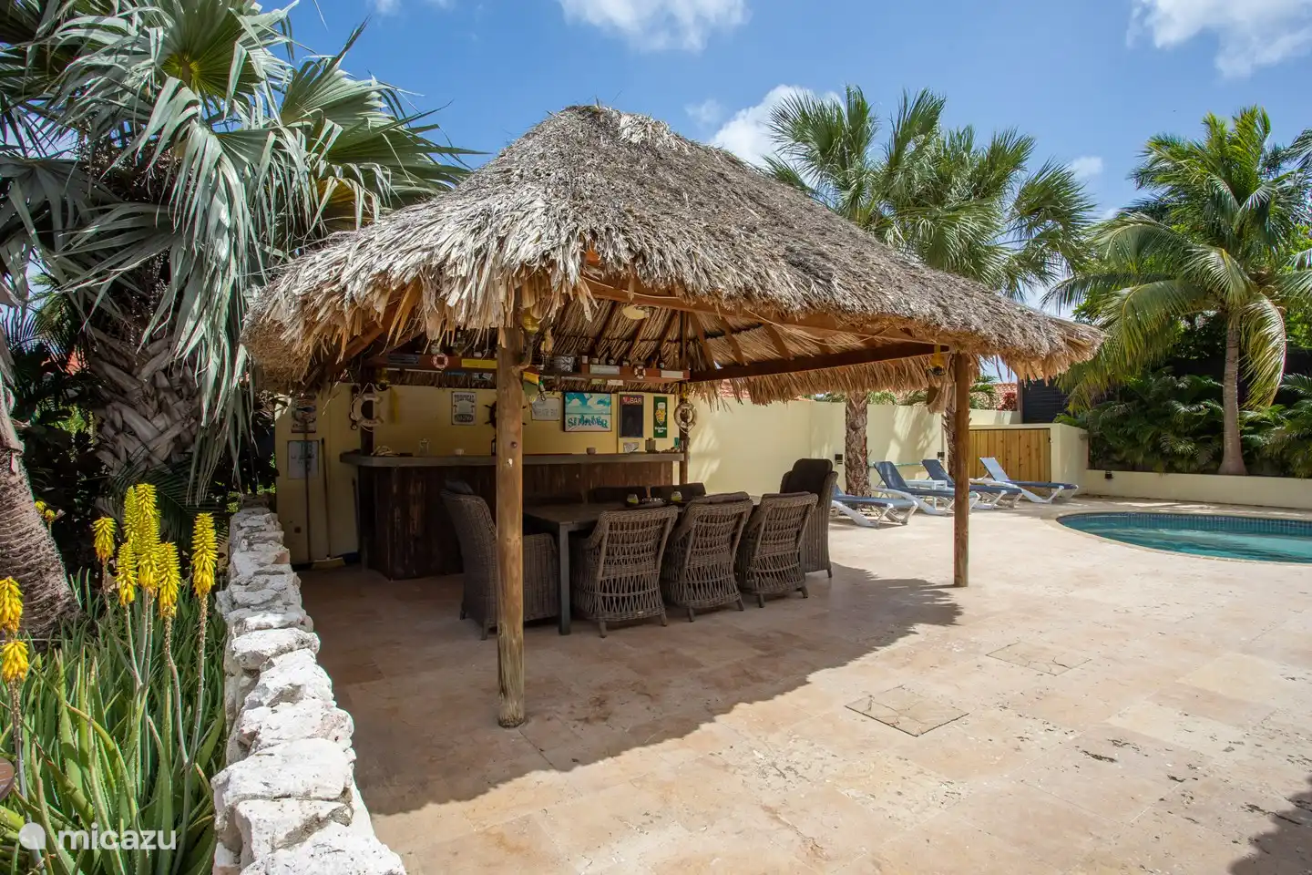 palapa