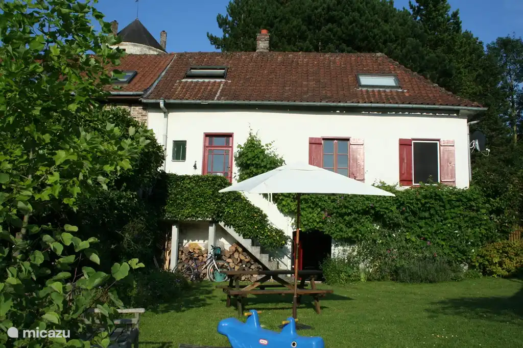 Garden in the summer