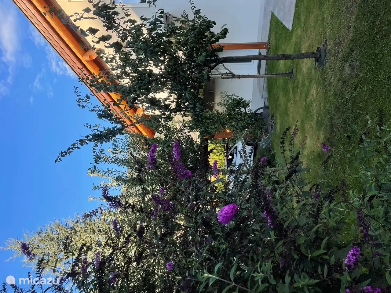 beautiful garden around the chalet