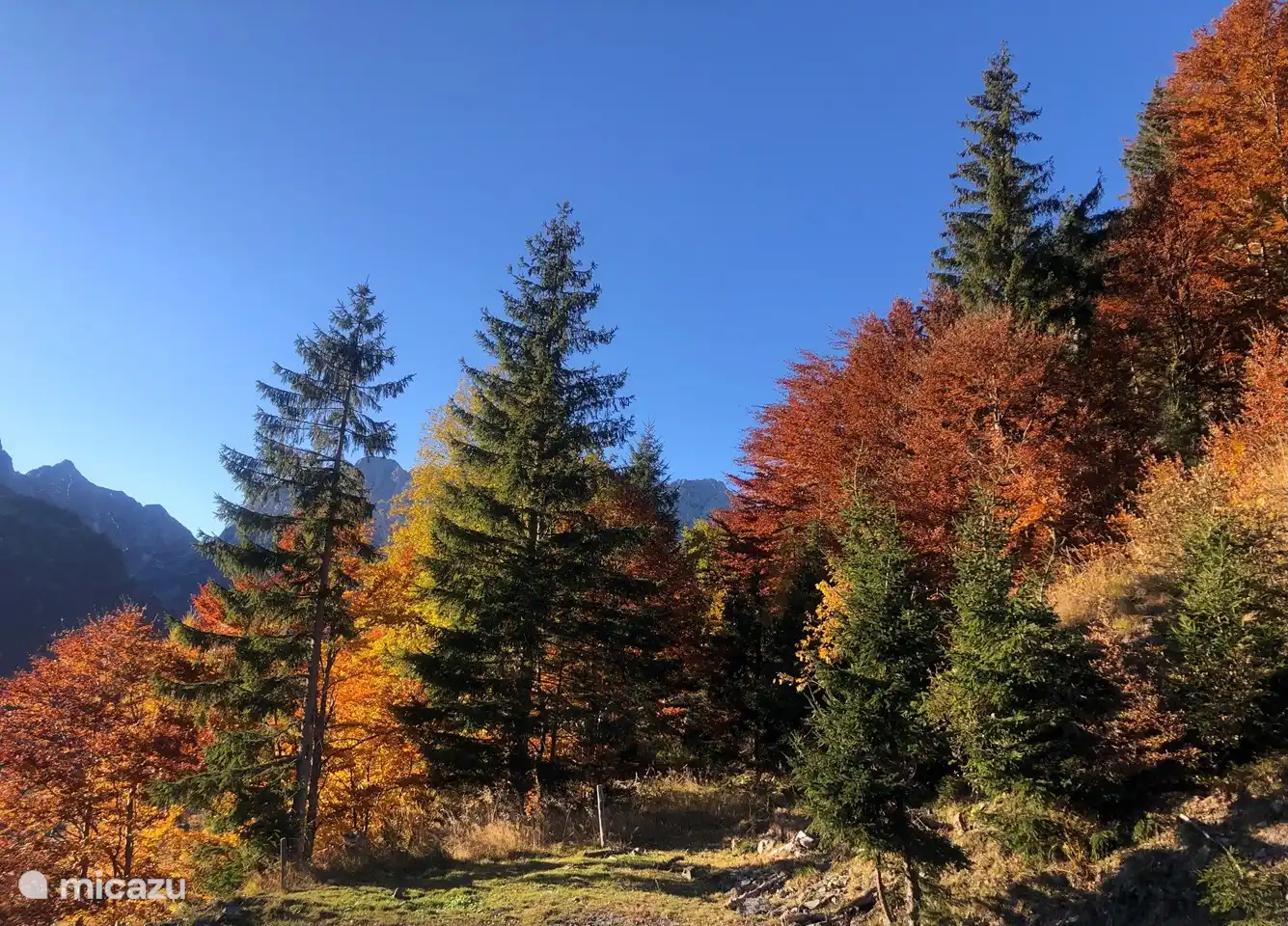 Indian Summer, near the House!!