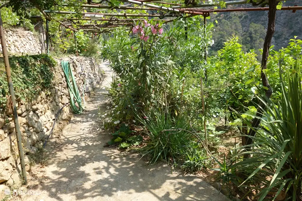 Der Hauptweg im Garten