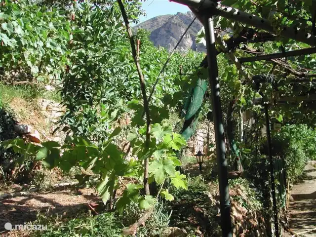 Noceire en Italia, Liguria, Airole - casa vacacional El jardín en verano