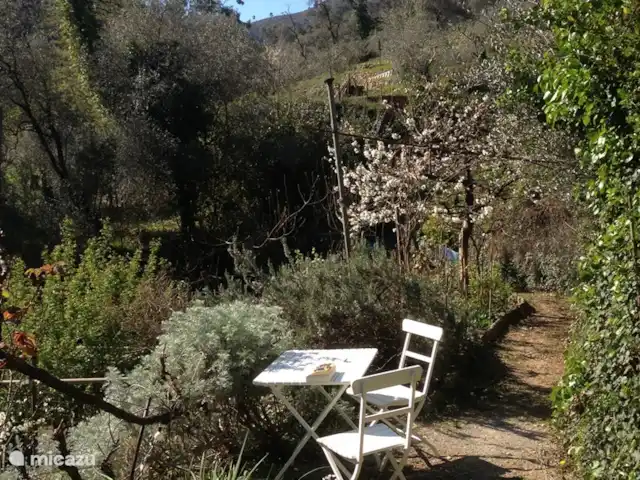 Noceire en Italia, Liguria, Airole - casa vacacional La pequeña terraza en marzo. En total hay 4 terrazas.