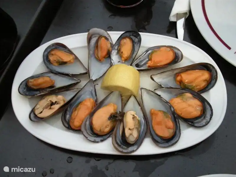 buena comida de tapas!