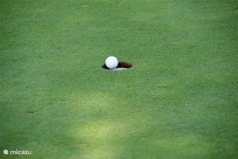 ¡Métete en el hoyo!