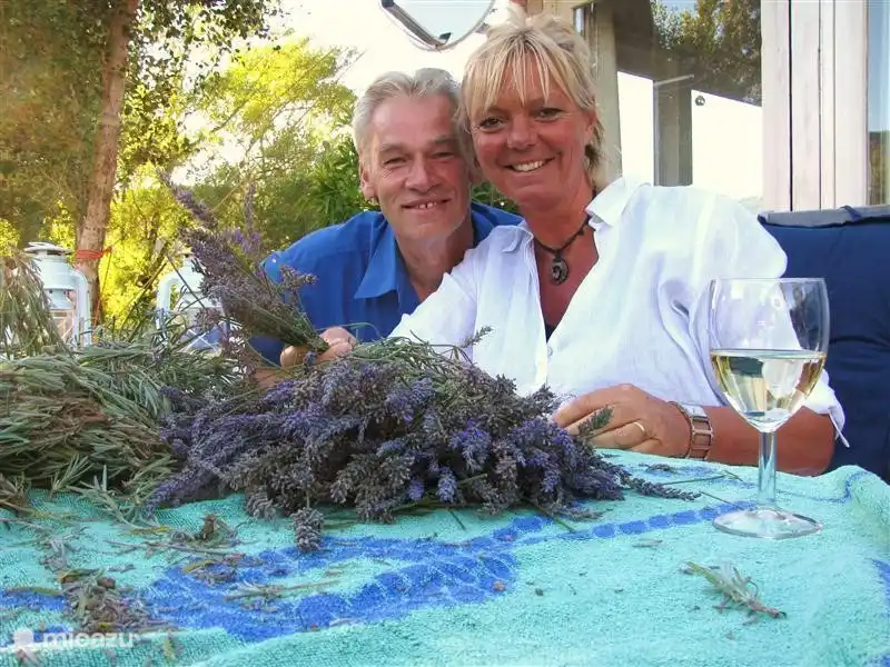 Después de afeitar los campos de lavanda en agosto, siempre queda mucho por recoger. ¡Huele tan delicioso!