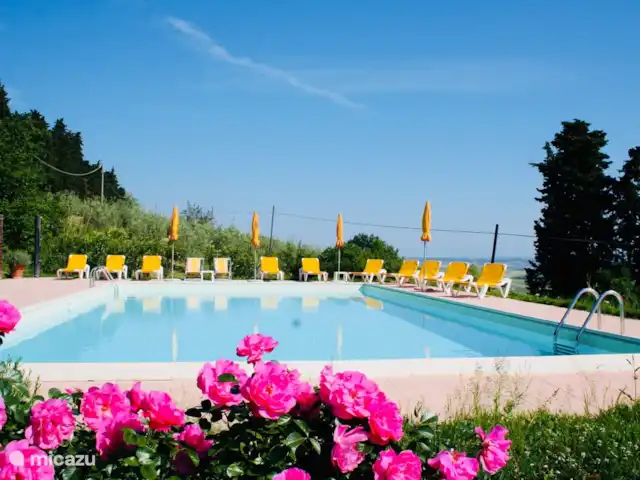 Location de Vacances Italie, Toscane, Montecatini Val Di Cecina, appartement - Appartement Cervo Piscine de 7 x 14 mètres