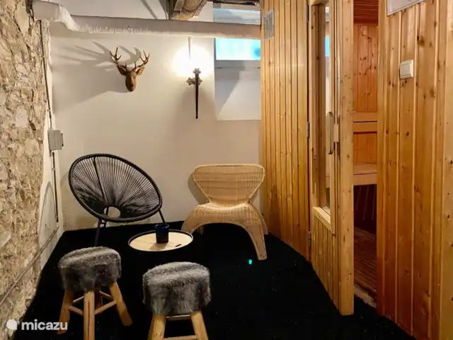 Château villa Santa Maria in Spa | Belgique, Ardennes, Spa - manoir / château Espace au sous-sol avec sauna et cabine de douche.