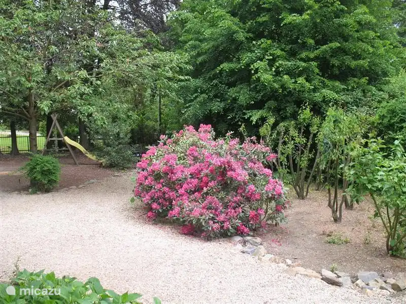 Garten in voller Blüte.