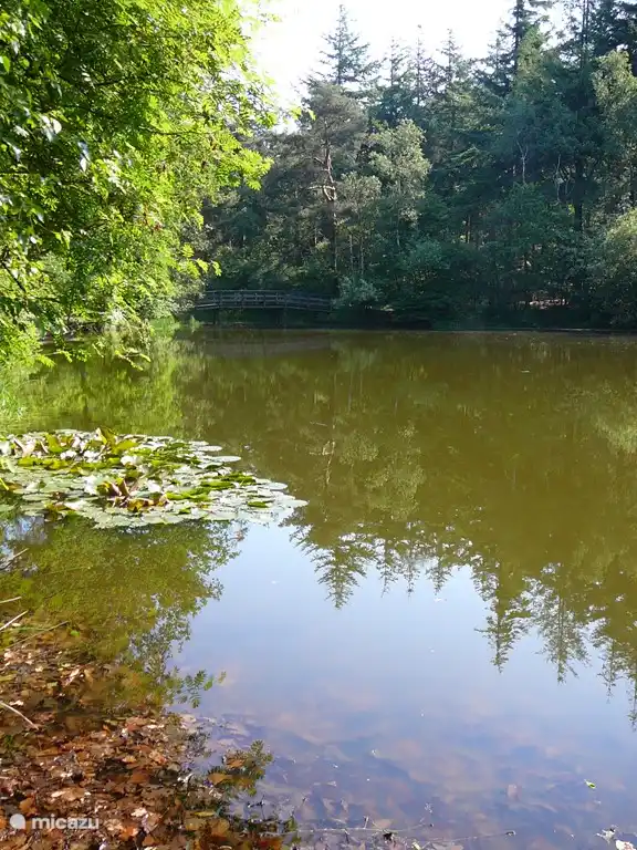 Der Essbereich des Hauses, wo die Farbe TV in Sicht.