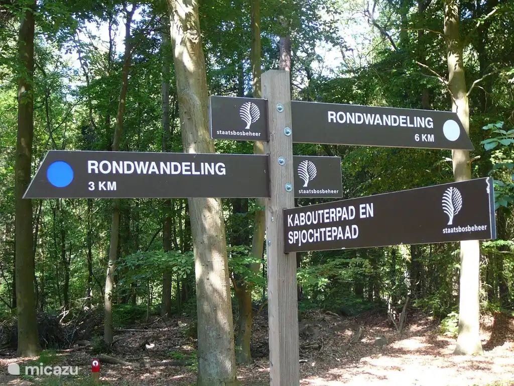 Das Schlafzimmer im Erdgeschoss Bett 160 breit, mit Türen zur Terrasse.