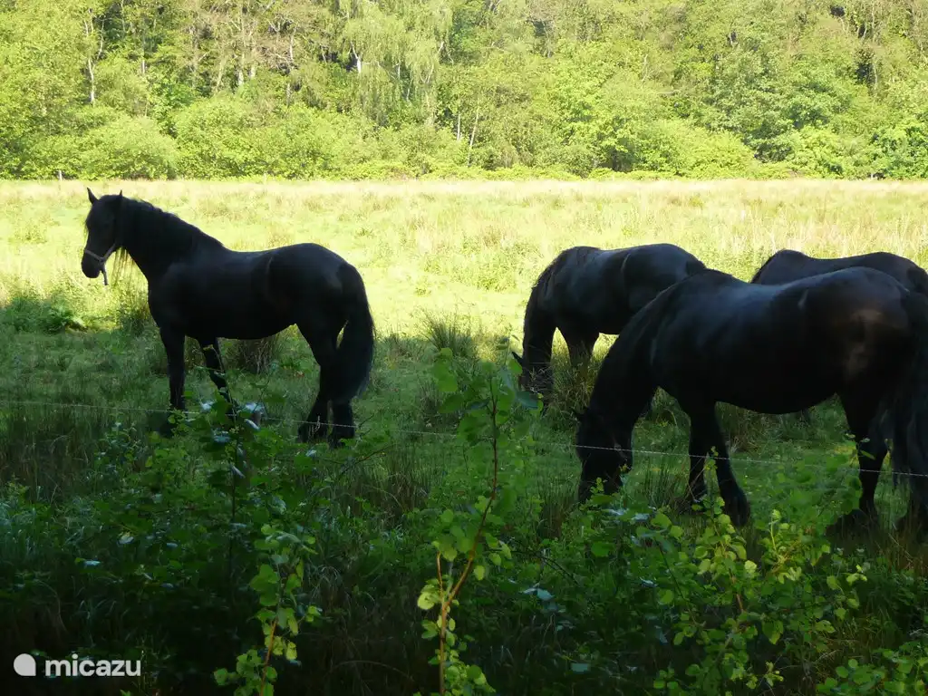 Das Bad auf der rechten Seite der Badewanne.